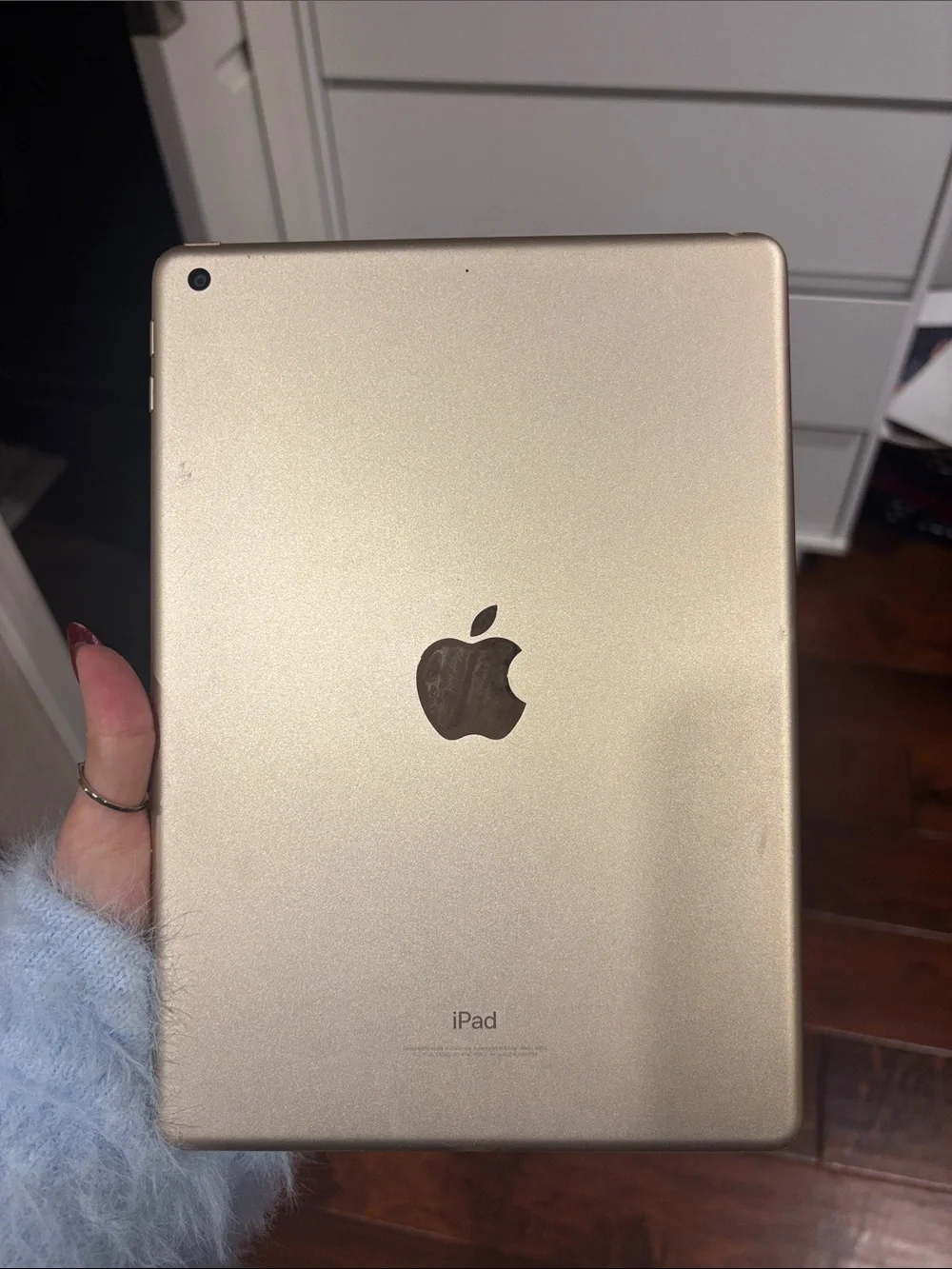 Apple iPad Tablet in White with Gold Back 5th Generation